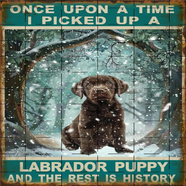 Once Upon A Time I Picked Up A Labrador Puppy And The Rest Is History Plaque Pub Wall Black Dog Decor Poster Dog Art Kitchen Tin Metal Sign Stickers Poster Bar Decor 8x12 Inch