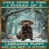 Once Upon A Time I Picked Up A Labrador Puppy And The Rest Is History Plaque Pub Wall Black Dog Decor Poster Dog Art Kitchen Tin Metal Sign Stickers Poster Bar Decor 8x12 Inch view 1