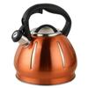 3L Stainless Steel Whistling Tea Kettle,Modern Stovetop Top Tea Kettle,Fast Heating,Anti Hot Handle,Gas Induction Cooker Universal Kettle view 1