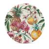 4PCS Drink Coaster Tropical Fruit Pattern Absorbent Coasters Set Coffee Table Coasters for Drink Coffee Cup Beverage Coasters Wine Beer Bar Coasters view 3