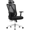 Luo Yi - CN Managerial Chairs, Office Chair with 2D Armrest Adjustable Lumbar Support & Headrest view 1
