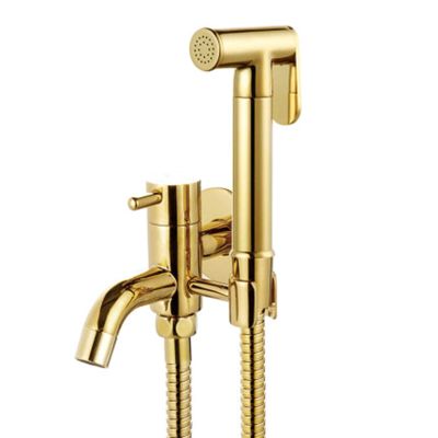 DAHSLNWKN Sprayer Brass Handheld Shower Toilet Sprayer Single Cold Wall MountedSprayer