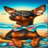 Best of Breed Miniature Pinscher Black/Tan Cropped DCR 100% Poly Velour Micro Fiber Beach Towel Quick Dry 30" x 60" view 1
