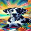 Best of Breed Great Dane Harlequin Uncropped DCR 100% Poly Velour Micro Fiber Beach Towel Quick Dry 30" x 60" view 1