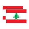 (2 Pack) Lebanon World Flag Magnets - Pride - 5 Inches On Longest Side - Premium Magnet - Choose from Over 200 Countries - for Cars, Refrigerators, Toolboxes, Lockers - Made in USA - MAG0907 view 1