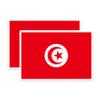 (2 Pack) Tunisia World Flag Magnets - Pride - 5 Inches On Longest Side - Premium Magnet - Choose from Over 200 Countries - for Cars, Refrigerators, Toolboxes, Lockers - Made in USA - MAG0998 view 1