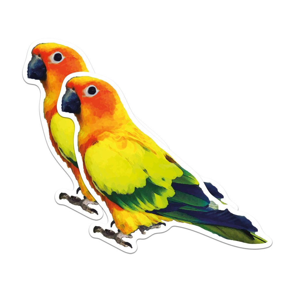 (2 Pack) Exotic Jungle Bird Magnets - Tropical Bird Art Magnet - 5" On Longest Side - Premium Magnet - for Cars, Refrigerators, Toolboxes - Made in USA - MAG1211