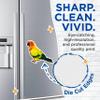 (2 Pack) Exotic Jungle Bird Magnets - Tropical Bird Art Magnet - 5" On Longest Side - Premium Magnet - for Cars, Refrigerators, Toolboxes - Made in USA - MAG1211 view 2