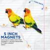 (2 Pack) Exotic Jungle Bird Magnets - Tropical Bird Art Magnet - 5" On Longest Side - Premium Magnet - for Cars, Refrigerators, Toolboxes - Made in USA - MAG1211 view 3