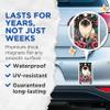 (2 Pack) The Birman Cat Breed Tarot Card Magnets - Cat Lover Cat Dad or Mom, Mama Magnets - 5" On Longest Side - Premium Magnet - for Cars, Refrigerators, Toolboxes - Made in USA - MAG1220 view 4