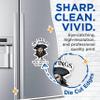(2 Pack) The Beatings Will Continue Until Morale Improves Magnets - 5" On Longest Side - Premium Magnet - for Cars, Refrigerators, Toolboxes, Lockers - Made in USA - MAG1633 view 2