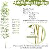 3ft 4ft 5ft 6ft 6.5ft 7ft Extra Tall Artificial Bamboo Plants Trees with Bamboo Trunks, Stems and Leaves - Fake Bamboo Silk Faux Tree Garden Fence Privacy Screen DIY Decor Outdoor Indoor(Pack of 100,2 view 2