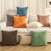 Huierxun Double-Sided Striped Throw Pillow Covers Luxury Soft Cozy Fluffy Fuzzy Solid Decorative Pillow Cushion Case for Living Room Sofa Outdoor Decor (Ivory,16"x16") view 2