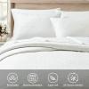 BOURINA Ultrasonic Quilt Set 3-Piece Full/Queen Bedding Set Pre-Washed Microfiber Ultra Soft Lightweight Star Bedspread Coverlet Set for All Season, White view 3