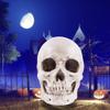 Yaoliucp Halloween Realistic Skull Anatomical Skeleton Life-size Replica Human Skull Head Bone Model, Halloween Resin Skull Figurine, Standard view 2