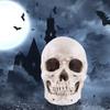 Yaoliucp Halloween Realistic Skull Anatomical Skeleton Life-size Replica Human Skull Head Bone Model, Halloween Resin Skull Figurine, Standard view 3