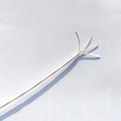 ZGYDNM Ultra-fine 2-core 4-core PTFE Silver-Plated sheathed Wire Teflon high-Temperature Signal Cable Outer Diameter 1.2/1.6mm(5 m,2core OD 1.2mm), ZGYDNM6666