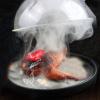 Cloche Dome Covers Dome Acrylic Vegetable Plate Covers 4 Sizes To Choose view 2