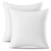 AM AEROMAX 22 22 Pillow Insert (Pack of 2) Memory Foam Throw Pillow Insert Sham Square for Decorative Cushion Bed Couch Sofa Without Deform After Longtime Use view 1