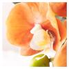 RENEESME Artificial Flower Simulated Artificial Flowers Chinese Style Living Room Dining Table Coffee Table Ornaments Home Decoration Flowers Artificial for Decoration view 3