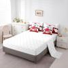Erosebridal 7 Pcs Comforter Set Queen Size,Football Players Bed in a Bag with Flat Sheet and Fitted Sheet for Kids and Adults,Football Bedding Set with Pillowcases and Cushion Cases view 4