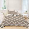 Summer Quilts Full Size, Lightweight Quilted Coverlet Geometric Simple Style Comforter Set for Bed, All Season Bedspreads Beige Morocco Pattern Texture Soft Quilt Bedding with 2 Pillowcases 78x90 Inch view 3