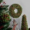 Northlight MIni Pinecone and Berries Small Frosted Christmas Wreath - 13" - Unlit view 3
