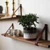 Hardwood Customizable Shelf ~ With Full Grain Leather Straps - Choose Your Stain (8x48 inches, White) view 2