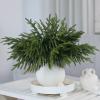 16 Pcs Real Touch Norfolk Pine Branch -18" Artificial Christmas Green Plants Branches Faux Greenery Stem Fake Cedar Pine Picks for Vase DIY Crafts Garland Wreath Xmas Indoor Outdoor Home Decor view 2