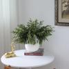 16 Pcs Real Touch Norfolk Pine Branch -18" Artificial Christmas Green Plants Branches Faux Greenery Stem Fake Cedar Pine Picks for Vase DIY Crafts Garland Wreath Xmas Indoor Outdoor Home Decor view 4