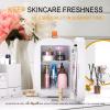 Hansburg Mini Fridge for Bedroom Mirror Skincare Cooler & Warmer Portable Small Refrigerator 4 Liter/6 can with 12v AC/DC/USB Option for Food, Drinks, Makeup, Dorm, Office and Car view 4