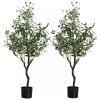 Elitix Artificial Tree 7ft Artificial Olive Tree 2 Pack Piece for Inside/Living Room, Faux Olive Tree with Stunning Branches Uv Resistant, Olive Tree Housewarming Gift view 1