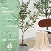 Elitix Artificial Tree 7ft Artificial Olive Tree 2 Pack Piece for Inside/Living Room, Faux Olive Tree with Stunning Branches Uv Resistant, Olive Tree Housewarming Gift view 4