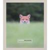10x15 Frame Whitewashed Natural Wood Cream Solid Wood Picture Frame | 0.8 Inch Moulding Width | 0.5 Inch Rabbet Depth | with UV Acrylic Plexiglass, Foam Board Backing & Hanging Hardware Included view 3