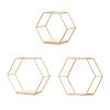 BEIJIALY Wall Mounted Hexagonal Floating Shelves Set, Floating Geometric Hexagon Shelf Wall Mount, Metal Wire and Wood Wall Mounted Storage Shelf Wall Decor for Living Roo, Bedroom(Gold) view 1