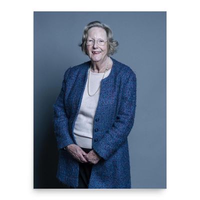 Baroness Hanham Official Portrait Poster Print - Wall Art Decor, No Frame, Large 18"x24"