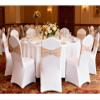 Gankar 50 Pack Nude Chair Sashes, Khaki Chairs Bands for Wedding, Party, Birthday, Meeting, Folding Chairs Decor, Spandex Chair Sashes view 2