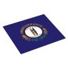 NOUZU Kentucky State Flag Print Dish Drying Mat, Microfiber Kitchen Counter Mat, Slip Resistant Dishwashing Mat 16x18in, Black view 2