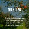 Michigan Gifts, Michigan Decor for Home - 'There's No Place Like Michigan Candle, w/Hot Apple Cider I Michigan Souvenirs I Michigan State Gifts I 9oz Jar, 50Hr Burn, USA Made view 3