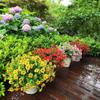 Artificial Faux Plants Flowers Outdoor Spring Summer Decoration, 6 Bundles Faux Silk Flower Mix Daisy Eucalyptus,UV Resistant Plastic Plants & Flowers for Garden Home Pot Planters Decor (6, Mix) view 3
