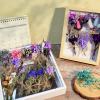 VAIPI 10 Pack Dried Flowers Bouquet Purple Dried Flower with Stem Real Natural Mini Dry Flower Bundles Spring Wildflowers Floral Arrangement for Vase Crafts DlY Wedding Home Decor (Purple Series) view 3