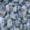 GAF TREASURES Wholesale Calcite Rough Natural Stones - Bulk Raw Crystals for Decor, Tumbling, Cabbing, Polishing, Fountain Rocks, Wicca, and Reiki Crystal Healing (Blue Calcite, 5 Pounds) view 2