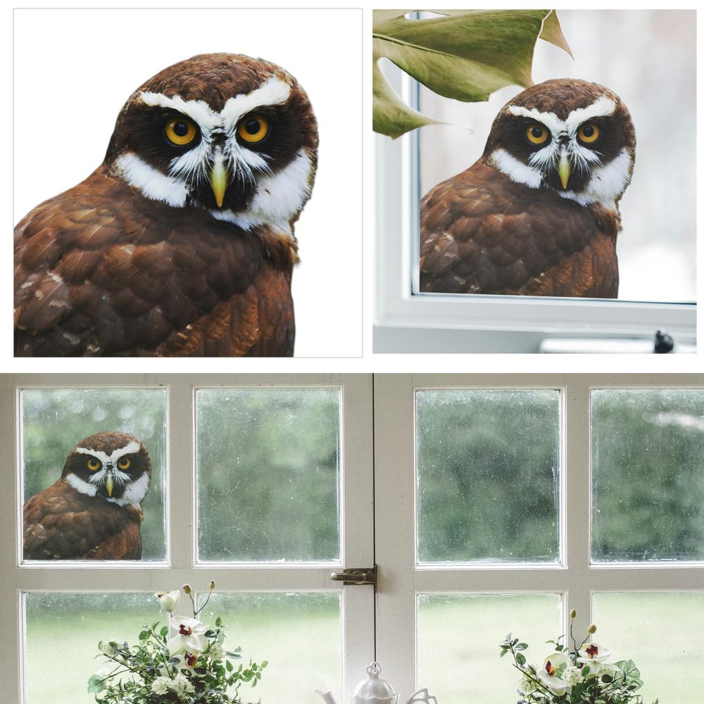 3D Gazing Owl Animal Window Stickers Removable Wall Stickers Peel and Stick Wall Art Decoration Kids Nursery Baby Bedroom Living Room Fun Decoration