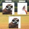 3D Gazing Owl Animal Window Stickers Removable Wall Stickers Peel and Stick Wall Art Decoration Kids Nursery Baby Bedroom Living Room Fun Decoration view 2