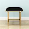 GRDDBZA Vanity Bench with Padded Cushion, Vanity Chair Vanity Chair Dressing Stool Modern Leather Stool Living Room Sofa Stool Dressing Stool Square Stool Changing Shoe Stool Makeup Chair(Black) view 4