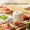 ELECTRIC GARLIC MINCE, 250ML Food Chopper USB, Mini Vegetable Chopper, Garlic Mincer, Onion Chopper, Portable Small Food Processor (white) view 2