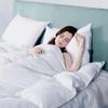 Kanak Bedding 100% Cotton, 600 Thead Count, 3pc 300GSM Comforter Set with Pillowcases Size Wine Olympic Queen view 3