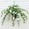 HELLORSO 26in UV Simulation Artificial Flower, UV Simulation Artificial Petunia Flowers, Fade Resistant Outdoor Flowers,A Bunches of Artificial Morning Glories (White) view 3