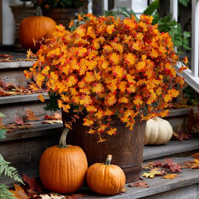 AXYLEX Artificial Fall Flowers Outdoor Fake Mums - 12 Bundles Fake Plants UV Resistant No Fade Faux Plastic Greenery Garden Porch Patio Fall Home Decor(RedOrangeYellow)