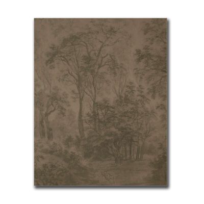 HSCFWYLN Wall Art Canvas Print Foggy Forest Art Print Antique Neutral Rustic Vintage Moody Scenery Painting Modern Home and Bedroom Decoration 16x24inch Without Frame